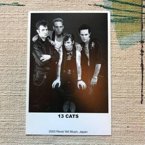 13 CATS 2003 ポストカード ロカビリー ROCKATS POLECATS ストレイキャッツ