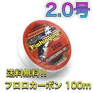 (L55)送料無料・フロロカーボン 2.0号 100m巻き 道糸　リーダー