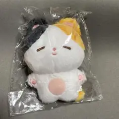 bts ジミン　ぬいぐるみ　10cm 新品　マスター