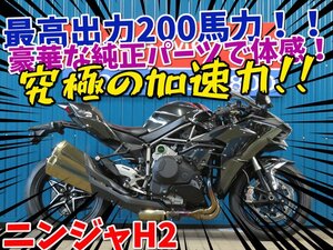 ■『免許取得10万円応援キャンペーン』12月末まで！■日本全国デポデポ間送料無料！カワサキ ニンジャH2 41306 ミラーコート 車体 カスタム