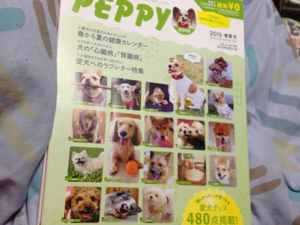 peppy 2015春夏号 犬 イヌ ペット雑誌 新品