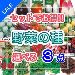 セットでお得‼︎ 野菜の種　選べる３点　野菜の種セット　説明欄の在庫を確認下さい