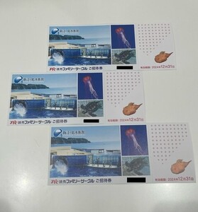 【大黒屋】 新江ノ島水族館 ご招待券 3枚セット 未使用 有効期限2024年12月末日まで