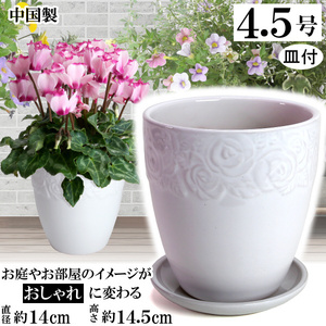 植木鉢 おしゃれ 安い 陶器 サイズ 14cm ロイヤルローズポット 4.5号 ホワイト 受皿付 室内 屋外 白 色