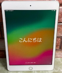 1円～ ●Apple iPad mini 第5世代 / Wi-Fi + Cellular / 256GB / シルバー / iOS 17.5.1 / 7.9型 (2048x1536) / バッテリー83% / MUXD2J/A