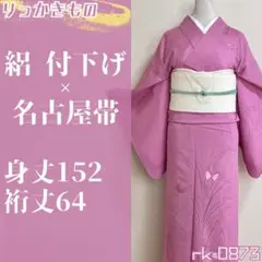 rk-0873 夏物 絽 付下げ 名古屋帯 2点セット 草に蝶文様 正絹 菖蒲色