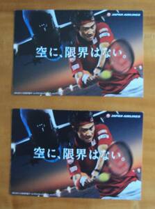 JAL 錦織圭 デビスカップ ポストカード 2枚