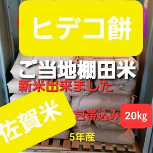 令和5年産棚田で育てたヒデコ餅20㎏白米1