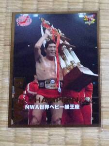 全日本プロレス　ジャイアント馬場　NWA世界ヘビー級王座　レア