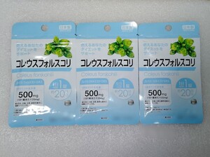 コレウス・フォルスコリ【合計60日分3袋】1日1錠 ダイエットをサポート 栄養機能食品 日本製 サプリメント