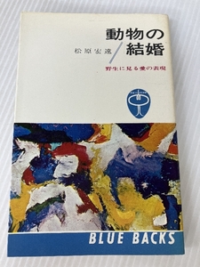 動物の結婚―野生に見る愛の表現 (1964年) (ブルーバックス) 講談社 松原 宏遠