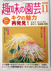  NHK趣味の園芸／2004年11月号　キクの魅力再発見！　日本のキク　毎年咲かせるカランコエ　新しいカエデ　ポットマム