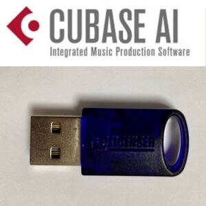 Steinberg CUBASE AI ライセンス入りe-licenser ver.11 音楽制作 DAW DTM 打ち込み 録音