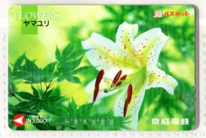 京成電鉄・パスネット・FLOWERS～ヤマユリ（使用済み）イオカード・オレンジカード・メトロカード