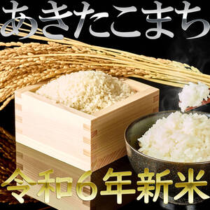 新米 あきたこまち 令和6年秋田県産 1.5キロ 10合 一升 米 お米