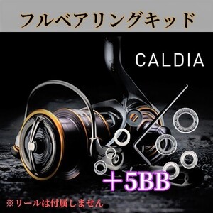 21カルディア フルベアリングキット ＋5BB MAX11BB ハンドルノブ調整用シム付 ダイワ DAIWA 