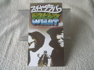 ★ スチャダラパー 【ドゥビドゥWhat?】 8㎝シングル SCD 