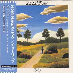 CD チューリップ - 2222年ピクニック - 紙ジャケット仕様 TOCT-25787 帯付き 24bitデジタルリマスタリング TULIP