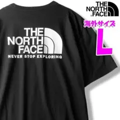 ノースフェイス バックプリント HD Tシャツ 黒 海外L 日本LL相当