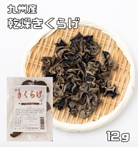 乾燥きくらげ 12g 無添加 九州産 乾物屋の底力 木耳 乾木耳 乾しきくらげ 干しきくらげ 徳用 業務用 国産 国内産