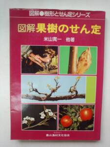 a13-f05【匿名配送・送料込】ブルース＆ソウル・レコーズ　米山寛一　農山漁村文化協会