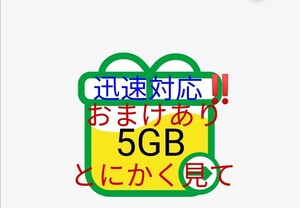 【迅速・匿名発送】mineo5GB(5000MB)パケットギフト【送料無料・即決】マイネオ(1GB 2GB 3GB 4GB 6GB 7GB 8GB 9GB 10GB 12GB 20GB 30GB)@7