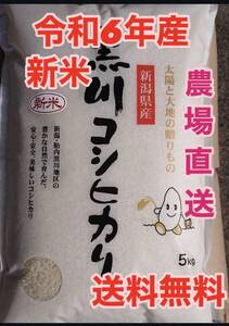 令和6年 新潟県胎内市(黒川地区)産 コシヒカリ5kg×4袋(20kg)　①