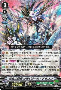 ヴァンガード D-VS06 悠久の回帰 グラジオール・ドラゴン RRR Vクランコレクション Vol.6 ネオネクタール フォレストドラゴン