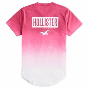 新品★正規品★Sサイズ！★ホリスターHOLLISTER★クールネック★Tシャツ★未開封★ライトピンク★バックグラフィック