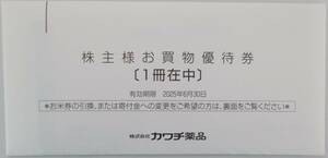 カワチ薬品 株主優待券 5000円分 2025年6月まで