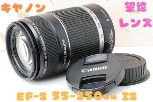 美品★望遠レンズ★Canon EF-S 55-250mm F4-5.6 IS★静かな駆動音★手ぶれ補正つきレンズ★