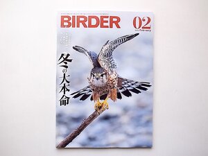 BIRDER 2023年 02 月号●特集=コミミズク、コチョウゲンボウ、タゲリ、ベニマシコ──冬の大本命