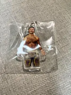 プロレス　ノア　ガチャ　アクキー　アンソニー・グリーン　会場限定　即日完売