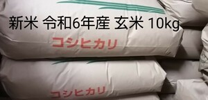 新米 令和6年産 コシヒカリ 玄米 10kg◆精米ご希望の方はお知らせ下さい