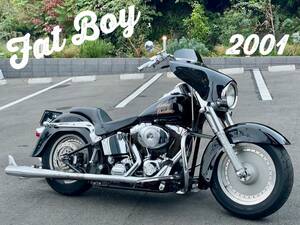 大特価！！　Harley-Davidson　ファットボーイ　2001　フリーハンドピンスト　フィッシュテールマフラー　ヤッコカウル