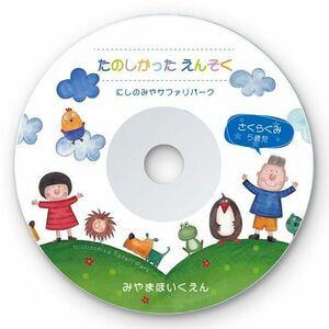 インクジェットDVD/CDラベル 内径41mm つやなしマット 100ラベル スーパーファイングレード LB-CDR001N-100 サンワサプライ 送料無料 新品