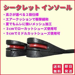 シークレットインソール 匿名配送 高身長 エアークッション フリーサイズ 22.5cm～27cm 男女兼用 3～5cm 厚底 ローカット スニーカー S025