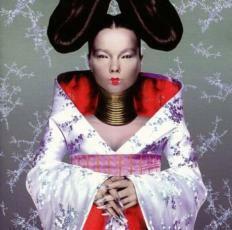 ケース無::Homogenic ホモジェニック 輸入盤 レンタル落ち 中古 CD