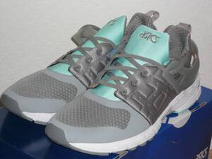 6★★★即決 新品 アシックス/ASICS GT-DS TQ6G3N グレー 31.0cm ランニングシューズ