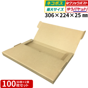 厚さ2.5cmネコポス対応 ダンボール 100枚セット 306mm×224mm×25mm ネコポス クリックポスト ゆうパケット 日本製