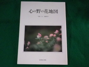 ■心の野の花地図　京条幸子　光村推古書院■FASD2023101010■