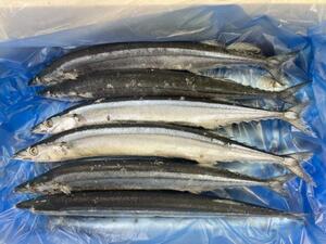 ★期間限定！「北海道産 冷凍サンマ」約4kg（40～45尾）鮮度抜群！北海道からお届け！10kgまで送料一律でお届けします！