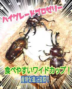 極上！ハイグレードプロゼリー【50個】トレハロース強化！　クワガタ、カブトムシの産卵数アップ・長寿効果に！　食べやすいワイドカップ　