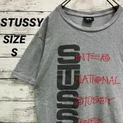 【希少】ステューシー Tシャツ INTERNATIONAL TRIBE グレー