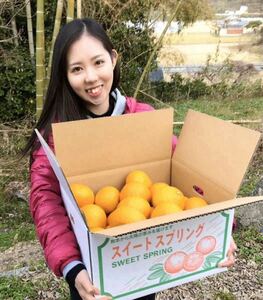 見た目を裏切る美味しさ【熊本産スイートスプリング】Lサイズ以上約5kご家庭用　熊本フルーツ堂56