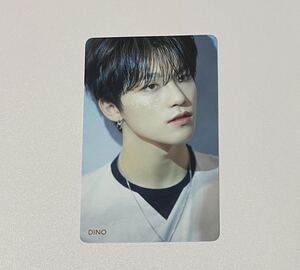 SEVENTEEN ディノ 舞い落ちる花びら Fallin’ Flower HMV 特典 トレカ DINO Photocard