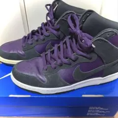 NIKE DUNK HIGH PRO SB GRAND PURPLE