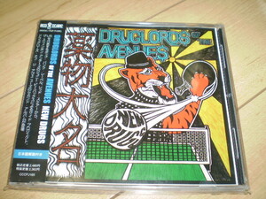 ○国内盤新品！Druglords Of The Avenues / NEW DRUGS*ポップ・パンク