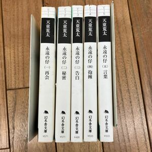 B-ш/ 天童荒太 永遠の仔 全５巻セット 幻冬舎文庫 再会 秘密 告白 抱擁 言葉