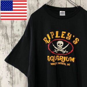 PRO WEIGHT USA 海賊 アメリカ古着 ビッグプリントTシャツ メンズ